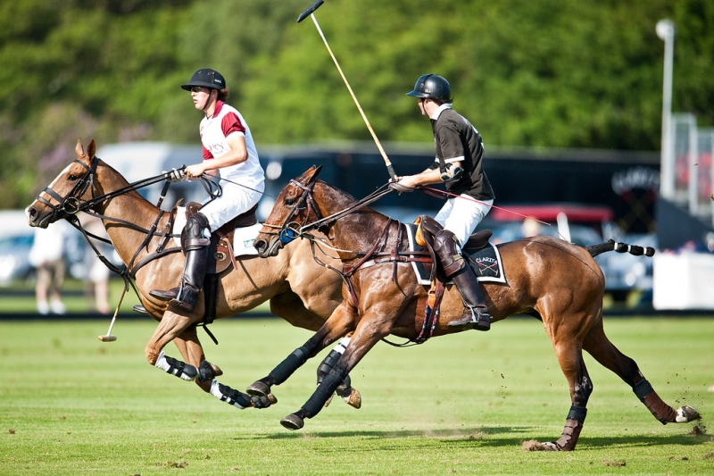 Horse Stable Tour in Dubai Polo Equestrian Club Trip Memphis Tours