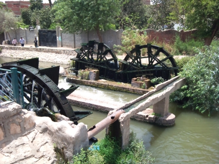 Water wheels of Fayoum Oasis.
