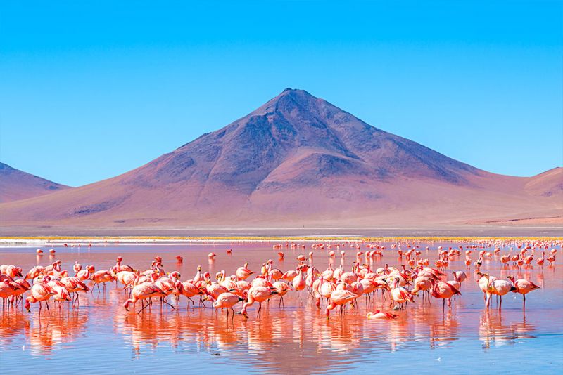 7 Naturally Beautiful Pink Lakes from Around the World