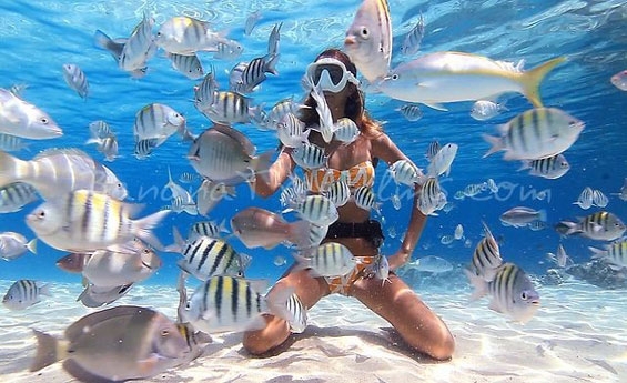 Snorkeling at Ras Mohammed National Park, Red Sea Egypt Snorkeling at Ras Mohammed National Park, Red Sea Egypt