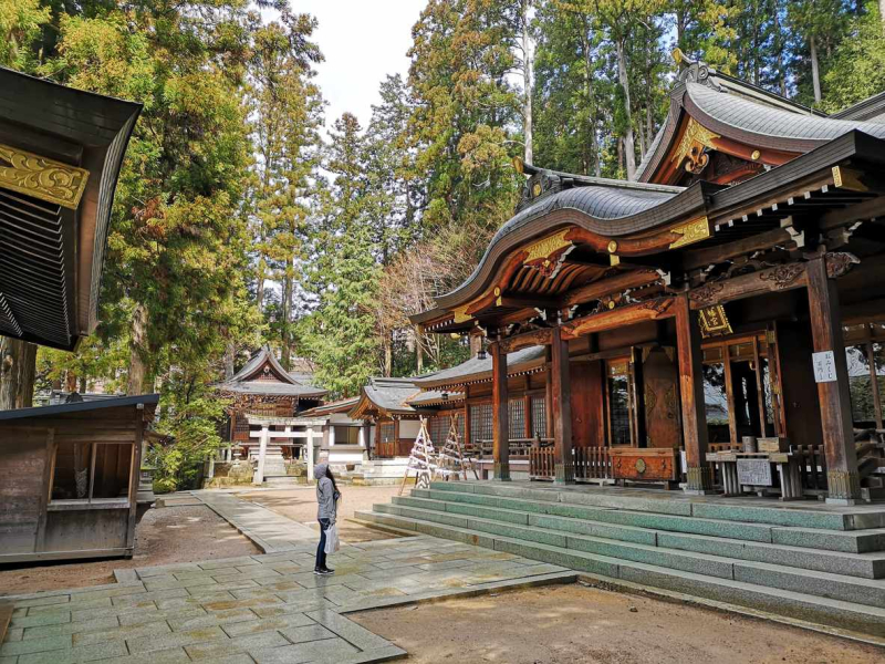 Japan Golden Route | 10 Days Japan Tour | Kyoto Tours 2026