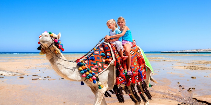 Cairo, Xmas & NY Cruise & Red Sea