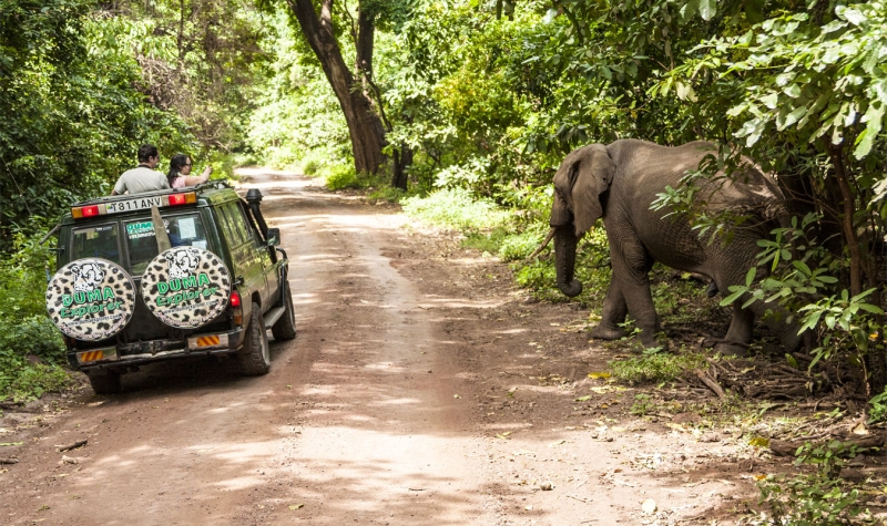 The Real World Tanzania Experience