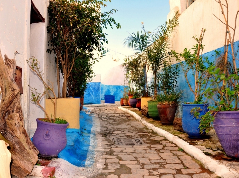 Splendors of Egypt, Jordan and Morocco Splendors of Egypt, Jordan and Morocco