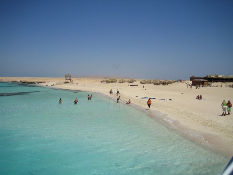 Snorkeling At Mahmya Island Hurghada | Red Sea Snorkeling