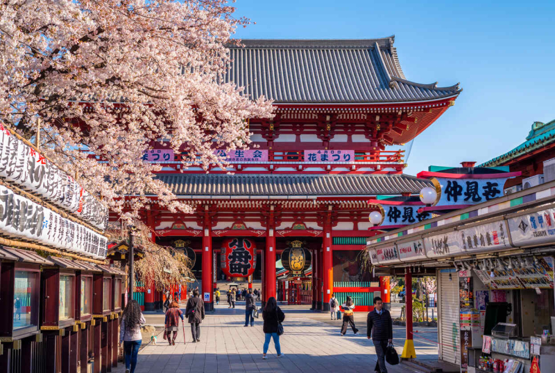 Japan Golden Route | 10 Days Japan Tour | Kyoto Tours 2026