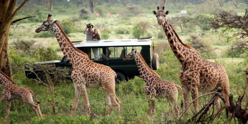 The Maasai Mara National Park