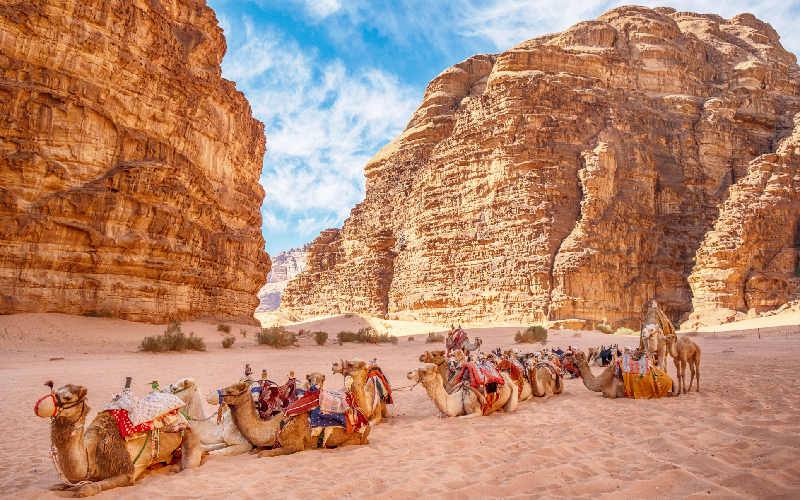 8 Day Jordan Private Tour – Amman, Jerash, Petra, Wadi Rum & Dead Sea