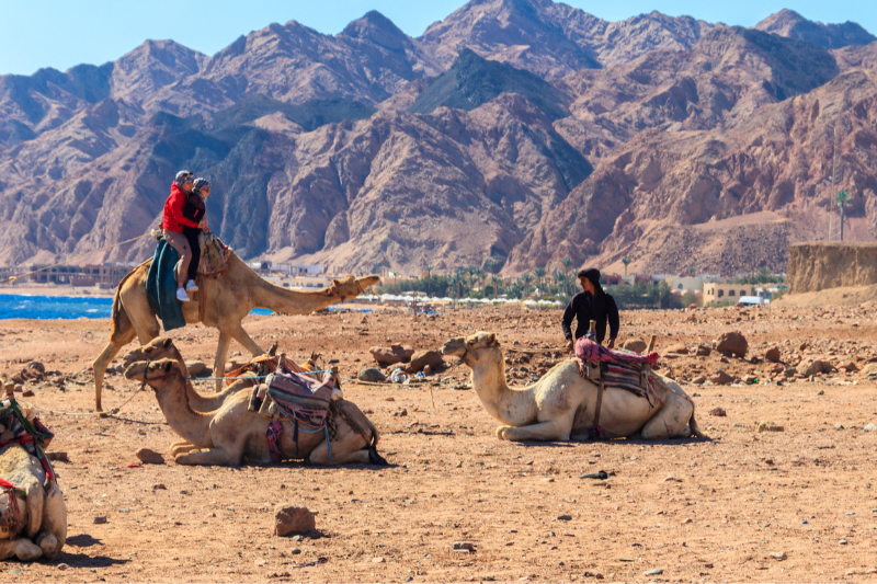 dahab ägypten