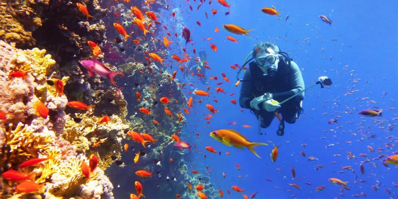 Snorkeling na ilha de Tiran em Sharm