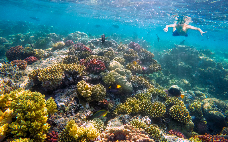 14-Day Egypt Pyramids, Luxor & Red Sea Diving Safari