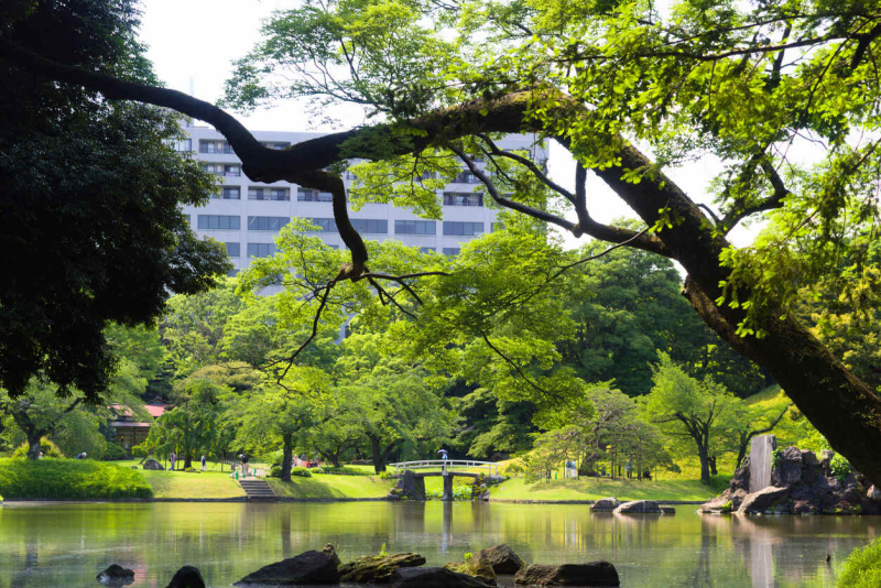 Japan Guided Tours | The Essence of Japan 2026/2027 | MemphisTours
