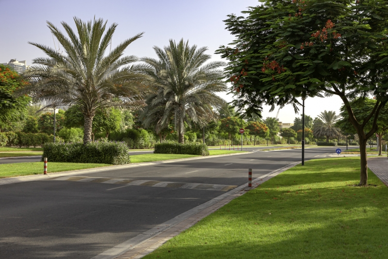 the farm dubai the farm dubai