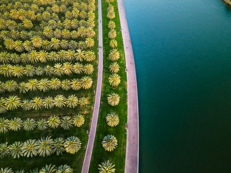 IMG Dubai IMG Dubai