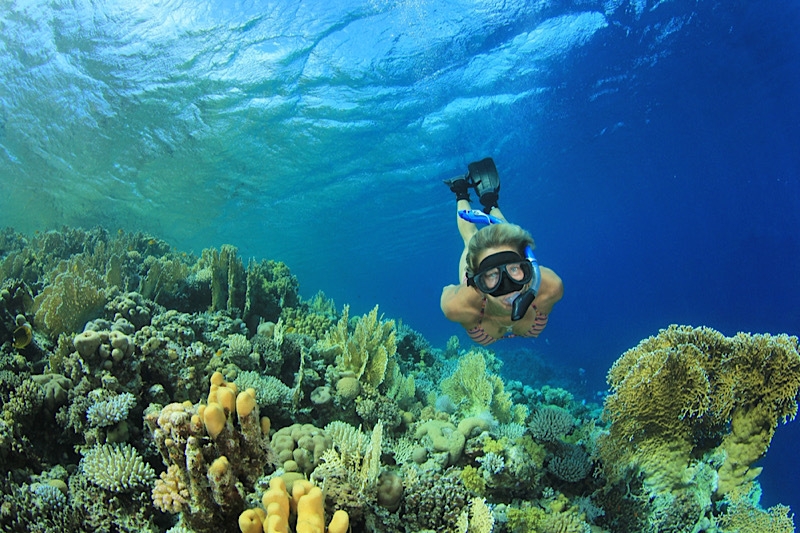 Hurghada ou Sharm El Sheikh 