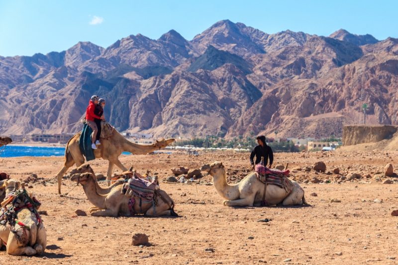 Sinai Adventure: Trekking, Canyons, and Mount Sinai Sunrise