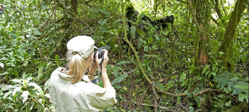 Rwanda Gorilla Trip