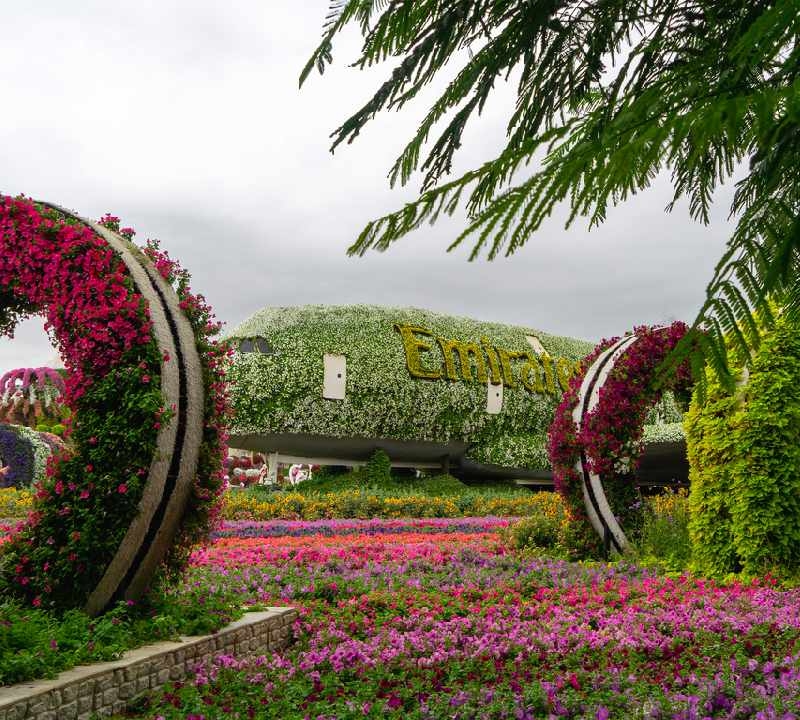 Dubai Miracle Garden Dubai Miracle Garden