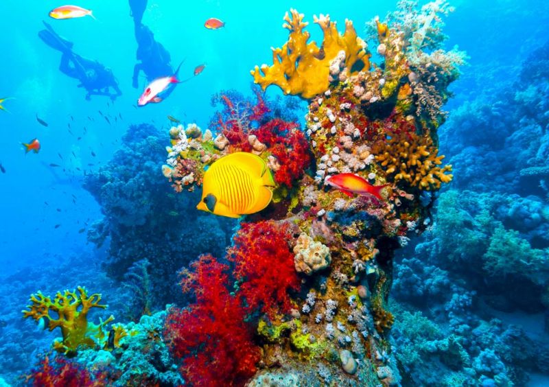 Ras Muhammad National Park Egypt In Sharm El Sheikh