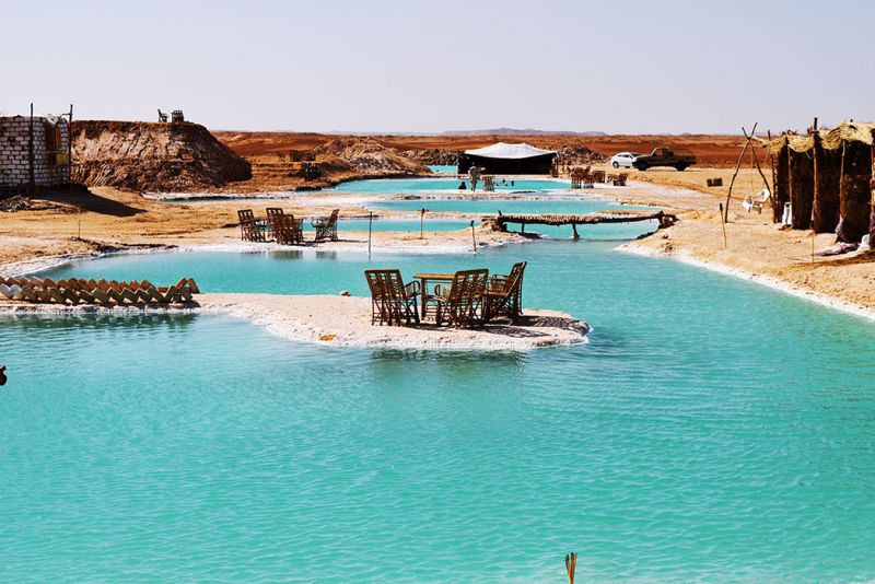 Siwas Wüstengold: Die faszinierende Reise der Dattelsammlung erleben - Die Zukunft der Dattelsammlung in Siwa