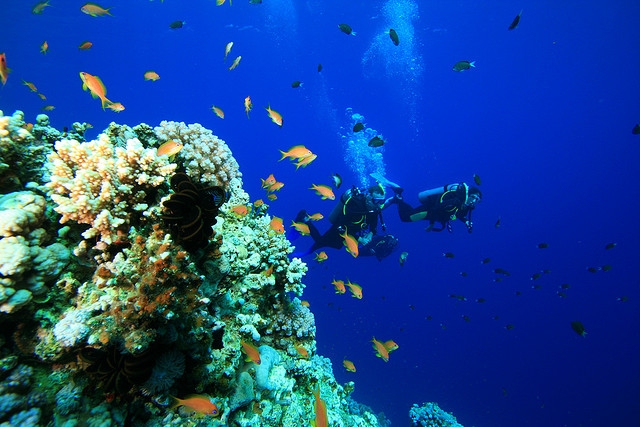 Safari por Dahab y Esnórquel en Blue Hole Safari por Dahab y Esnórquel en Blue Hole