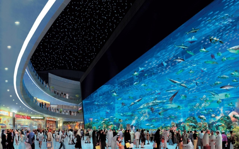Dubai Aquarium And Underwater Zoo Dubai Mall Aquarium