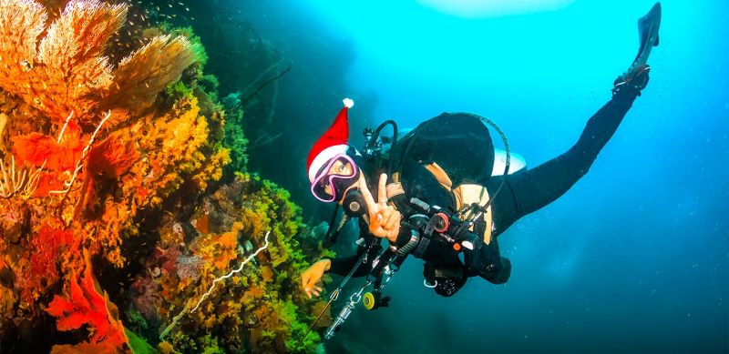 Santa diving in Red Sea Egypt, Christmas in Egypt 