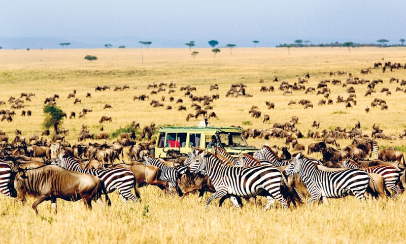 Serengeti National Park, Tanzania Tours, Safari in Tanzania