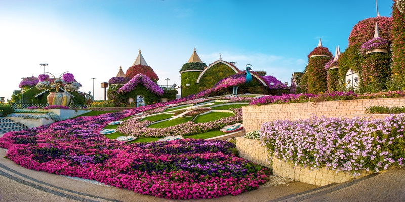 Miracle Garden | Dubai Miracle Garden | Dubai