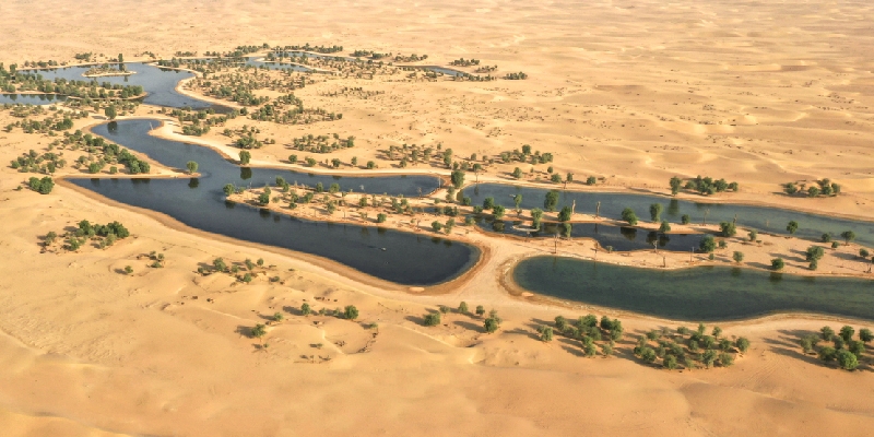 Al qudra