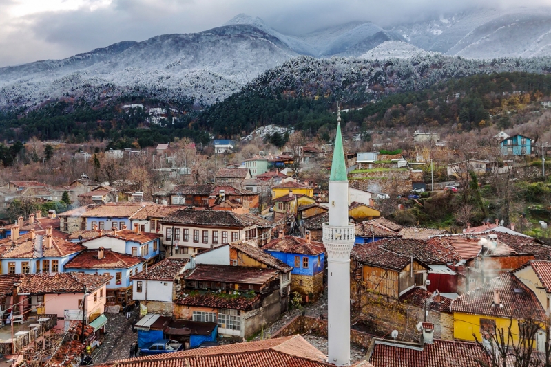 Bursa Bursa