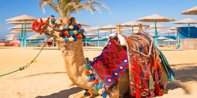 Kultur- und Badereise in Ägypten über Ostern Kultur- und Badereise in Ägypten über Ostern