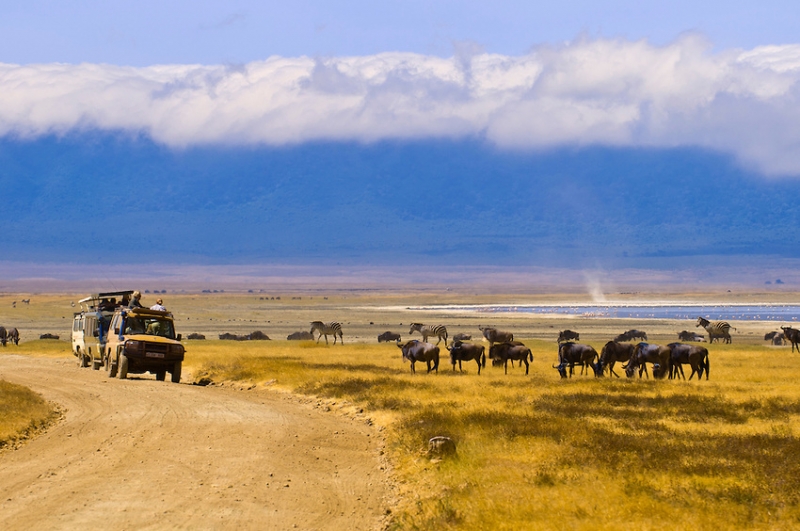 Ngorongoro National Park, Tanzania Safari Tours, Tanzania Tours
