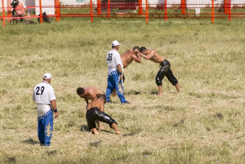 Lucha Libre de aceite Lucha Libre de aceite