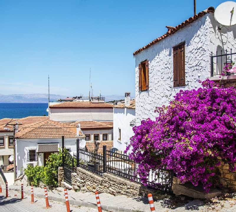 Bela rua com flores de buganvílias florescendo no centro histórico de Cesme, Turquia Bela rua com flores de buganvílias florescendo no centro histórico de Cesme, Turquia