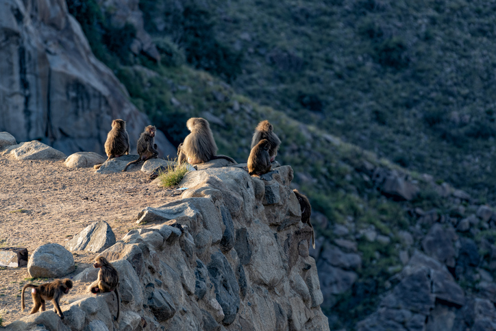 Abha: The Hidden Gem of Saudi Arabia