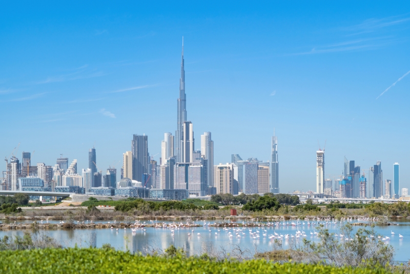 IMG Dubai IMG Dubai