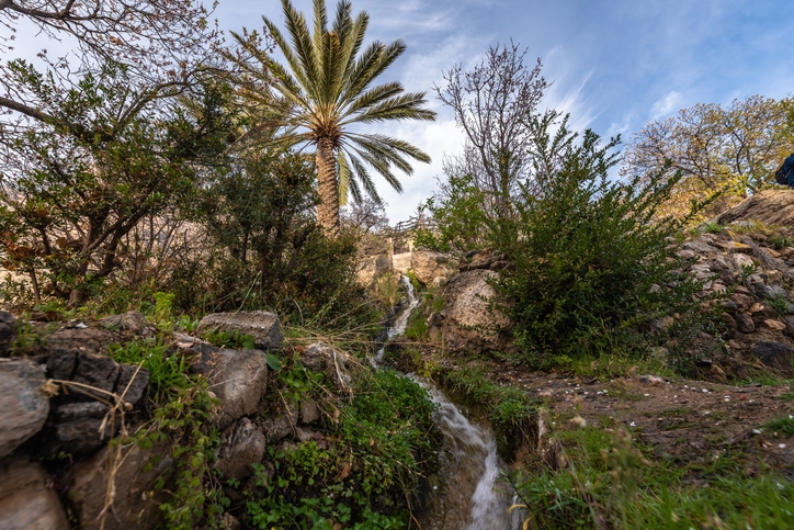 AlKasfah Spring | Alkasfah Spring Oman | Hot Water Springs Oman AlKasfah Spring | Alkasfah Spring Oman | Hot Water Springs Oman