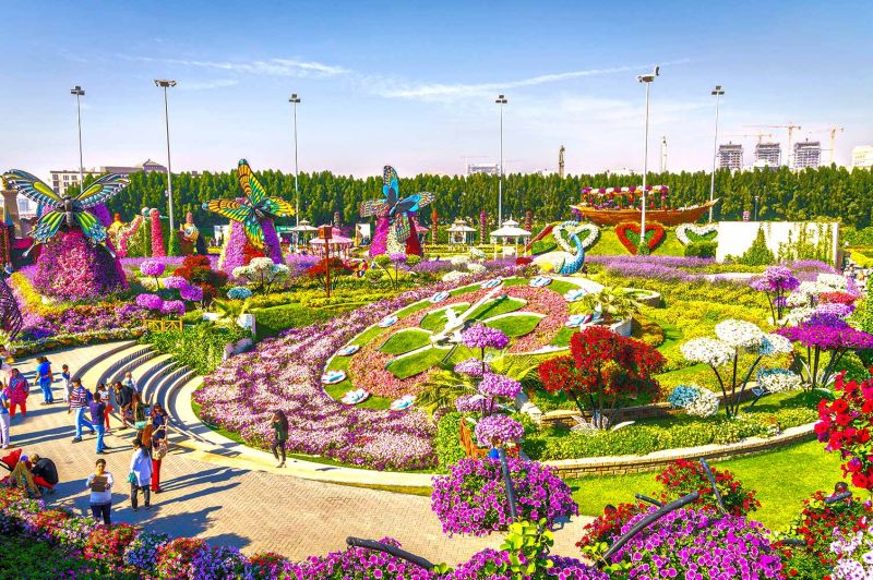 Dubai Miracle Garden Miracle Garden Dubai Flower Garden