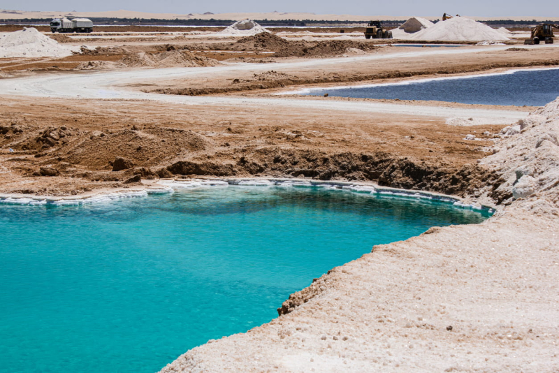 4-Day Siwa Tour from Cairo