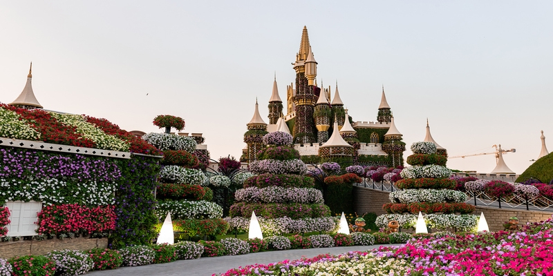Miracle Garden | Dubai Miracle Garden | Dubai