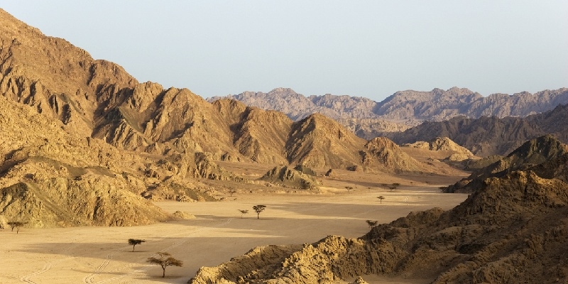 motañas del Sinaí Paisaje desértico con montañas rocosas en tonos ocres y árboles dispersos en la Península del Sinaí, Egipto