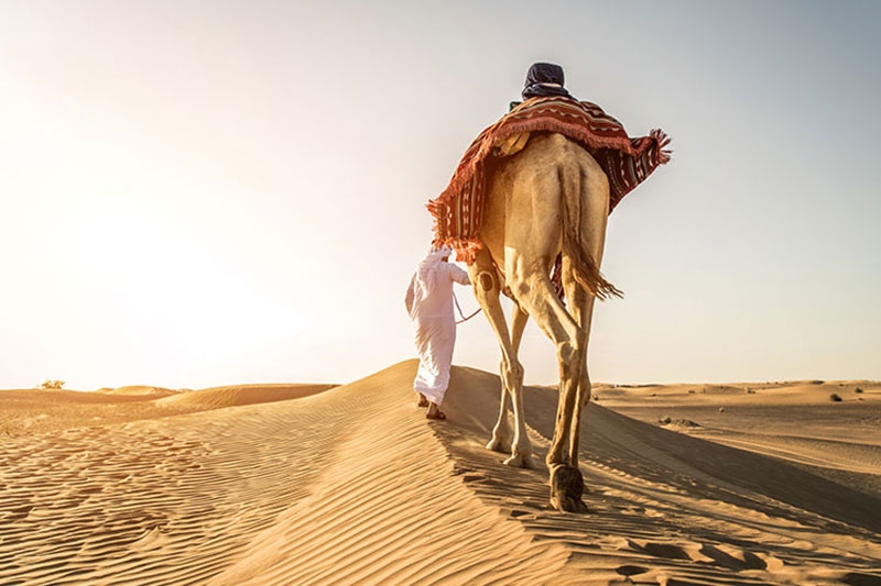 Forfait 10 jours Arabie Saoudite Forfait 10 jours Arabie Saoudite