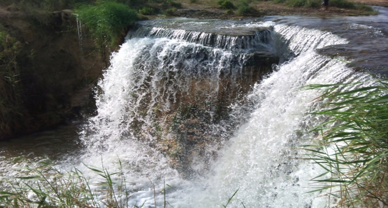 Day Tour to El Fayoum from Cairo Day Tour to El Fayoum from Cairo