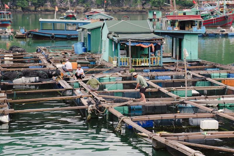 Thailand and Vietnam Tour