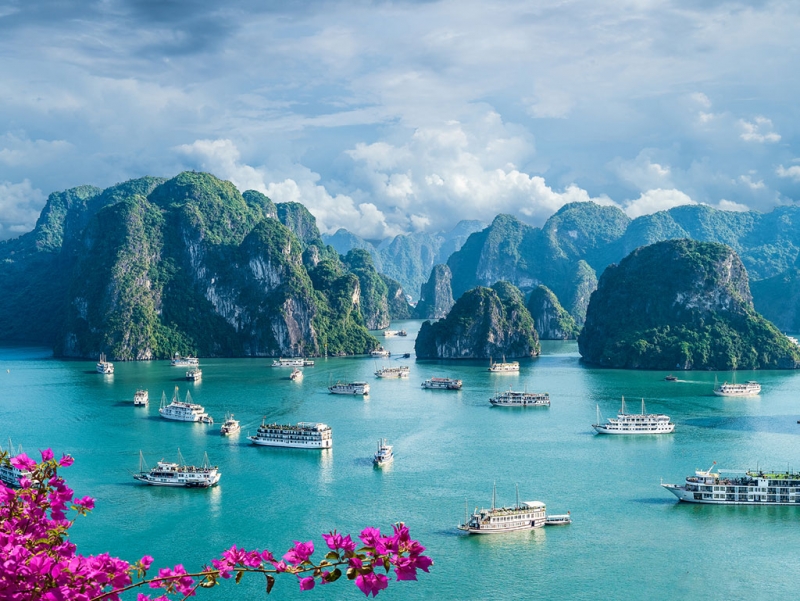 Vietnam Journey into Nature Tour