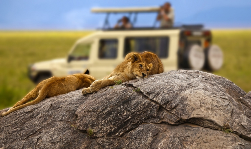 Tanzania Safari, Magic of Tanzania