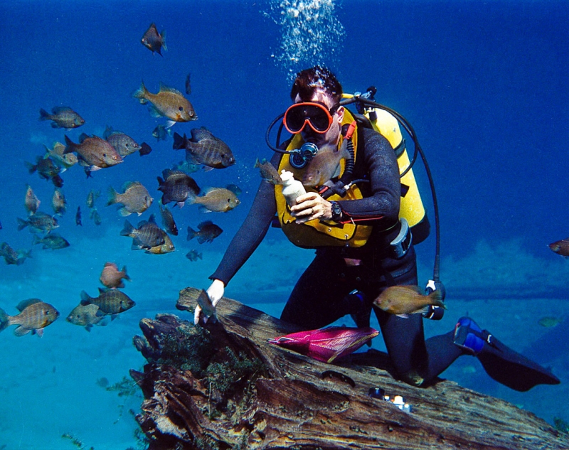 Scuba Diving Bodrum Turkey | Bodrum Diving Tours