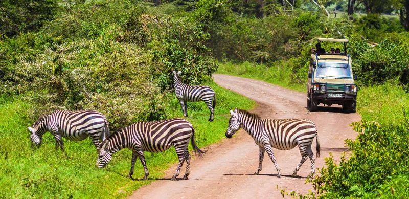 The Real World Tanzania Experience