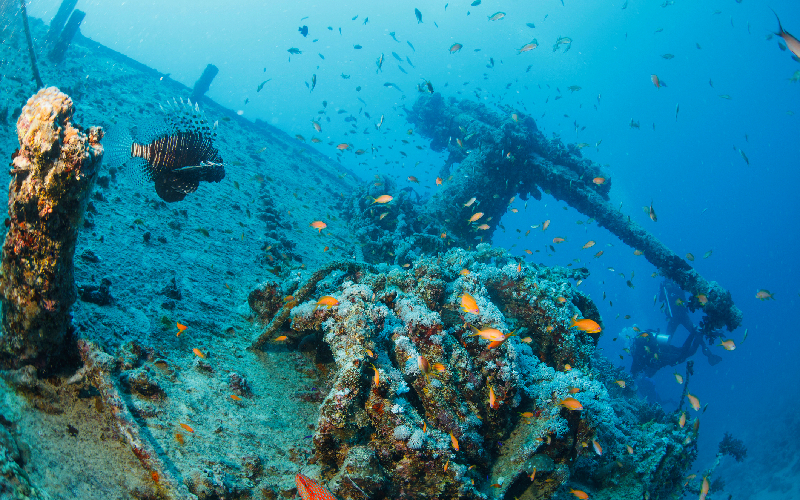 14-Day Egypt Pyramids, Luxor & Red Sea Diving Safari